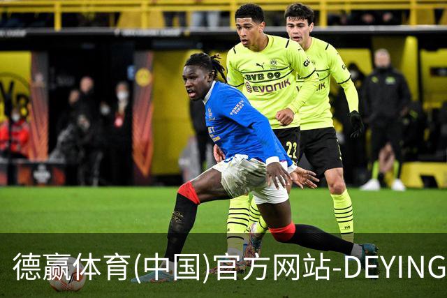 德赢体育(中国)官方网站-DEYINGSPORTS公司简介